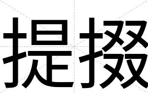 提掇