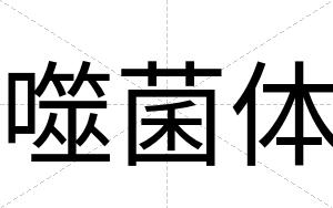 噬菌体