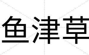 鱼津草