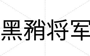 黑矟将军