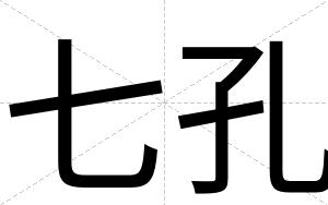 七孔