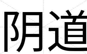 阴道