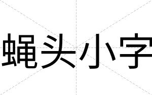 蝇头小字