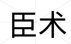 臣术