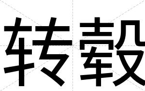 转毂