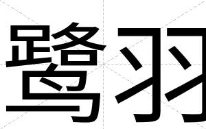 鹭羽