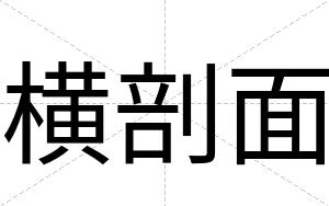 横剖面
