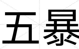 五暴