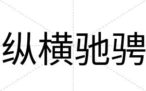 纵横驰骋