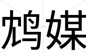 鸩媒