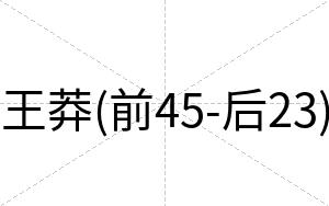 王莽(前45-后23)