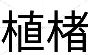 植楮