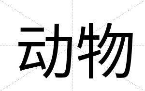 动物