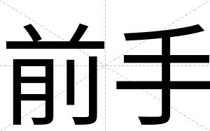 前手