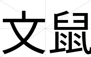 文鼠